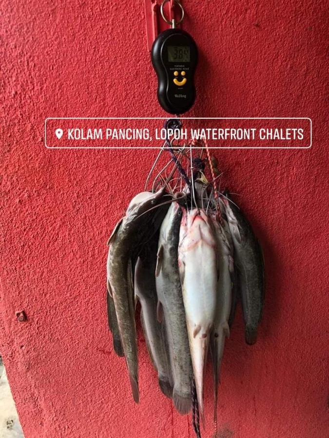 Vila Lopoh Waterfront Budget Chalets Hulu Langat Exteriér fotografie