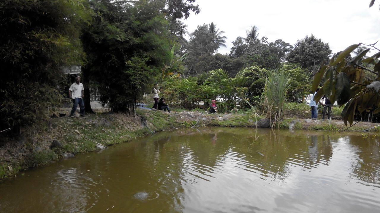 Vila Lopoh Waterfront Budget Chalets Hulu Langat Exteriér fotografie